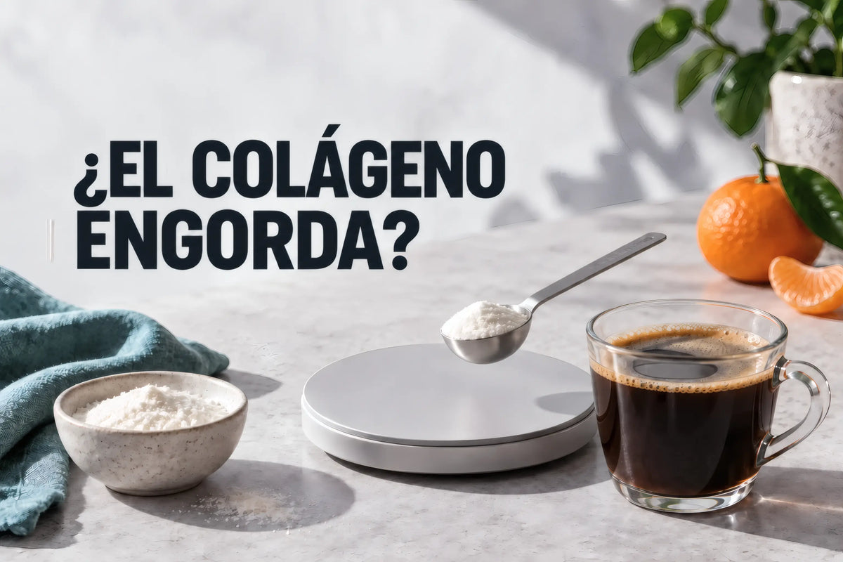 ¿El colágeno engorda? Portada ilustrativa con una porción de polvo, báscula de cocina y café.
