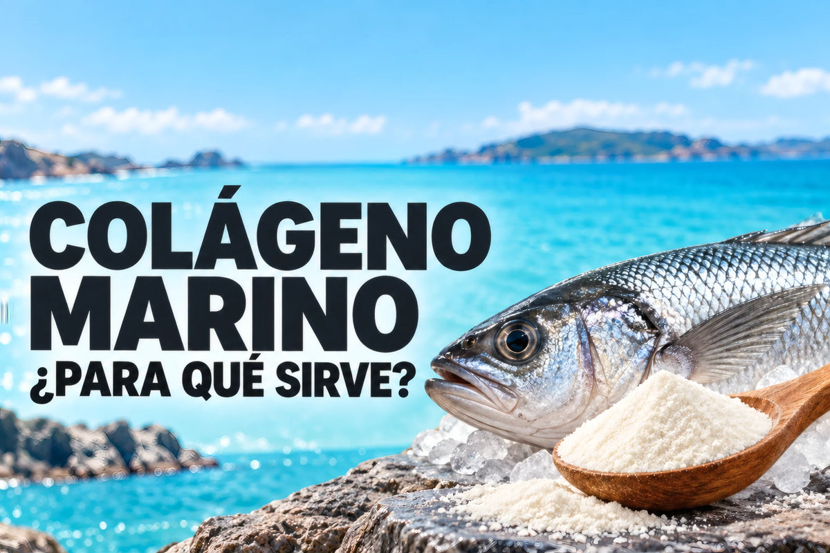 Colágeno marino: ¿para qué sirve? Pescado y una cuchara de polvo junto al mar.