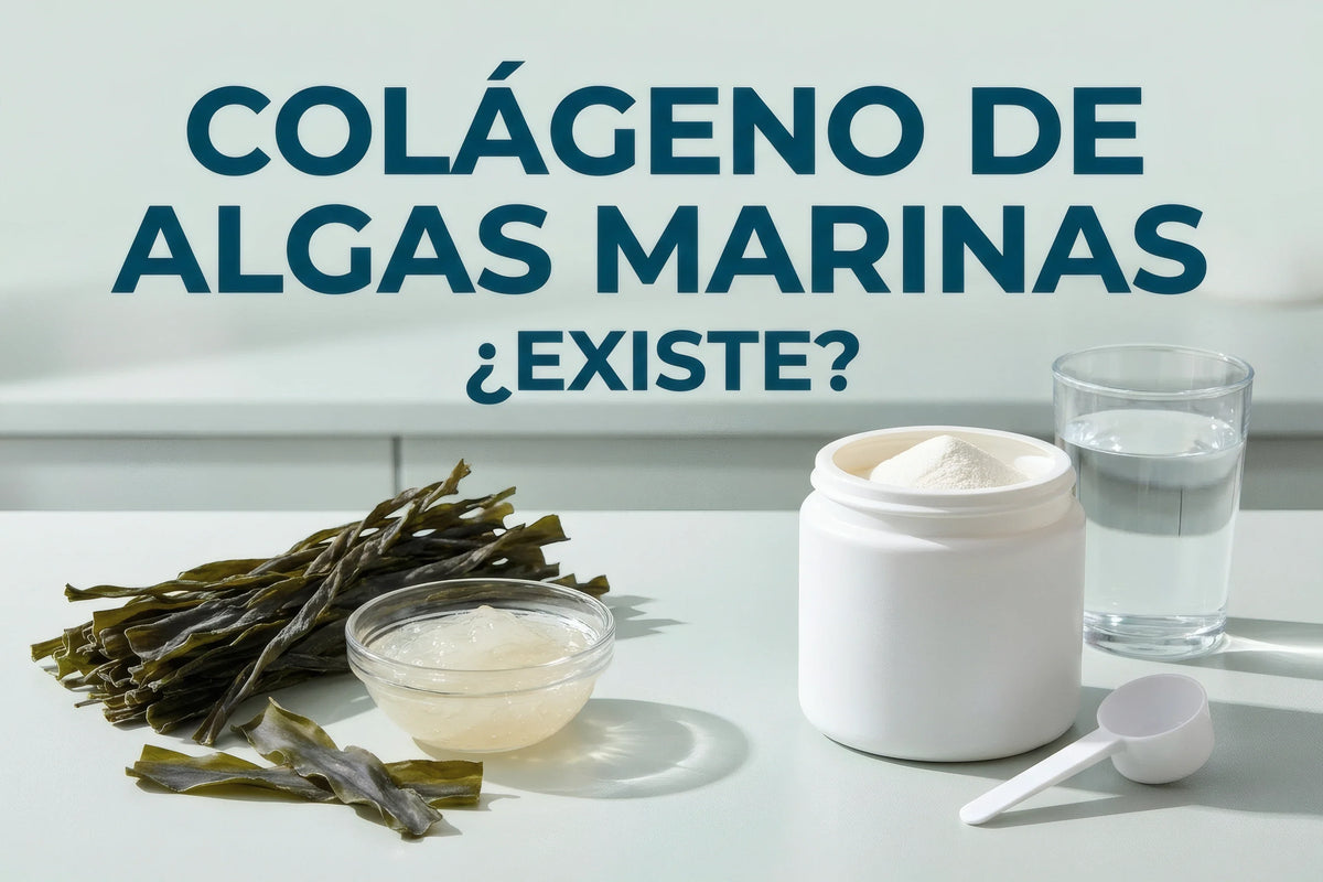 Alga marina seca y gel de alga junto a un frasco genérico de colágeno en polvo.