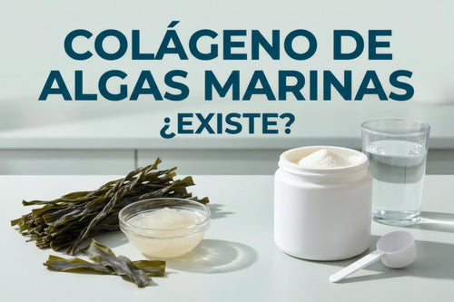 Alga marina seca y gel de alga junto a un frasco genérico de colágeno en polvo.