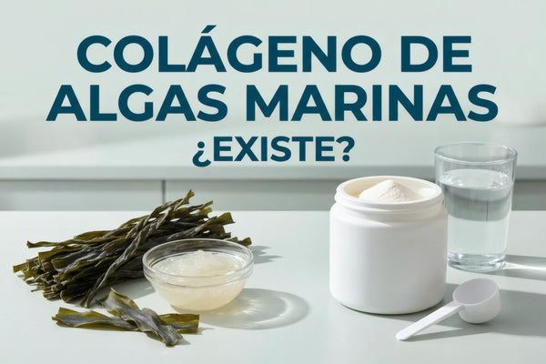 Alga marina seca y gel de alga junto a un frasco genérico de colágeno en polvo.