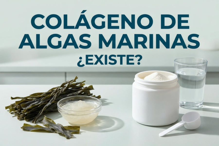 Alga marina seca y gel de alga junto a un frasco genérico de colágeno en polvo.