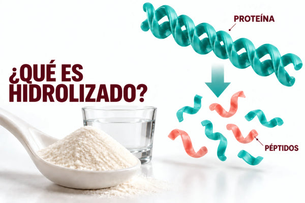 Ilustración conceptual de una proteína fragmentada en péptidos junto a colágeno en polvo; ¿qué es hidrolizado?
