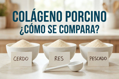 Tres cuencos con colágeno hidrolizado en polvo de origen porcino, bovino y marino sobre una barra de cocina.
