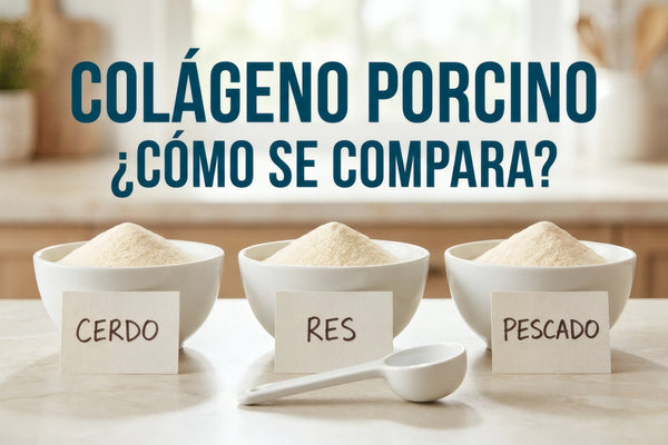 Tres cuencos con colágeno hidrolizado en polvo de origen porcino, bovino y marino sobre una barra de cocina.