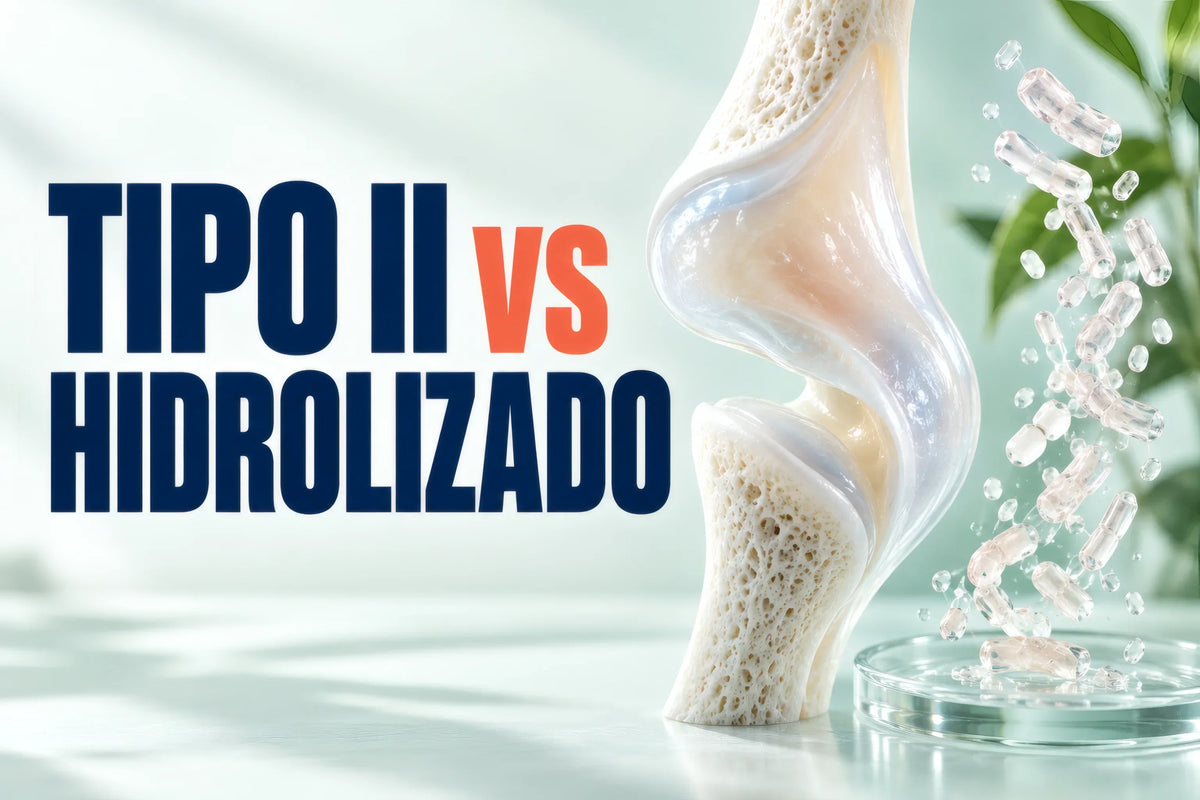 Tipo II vs hidrolizado junto a una articulación y péptidos de colágeno.
